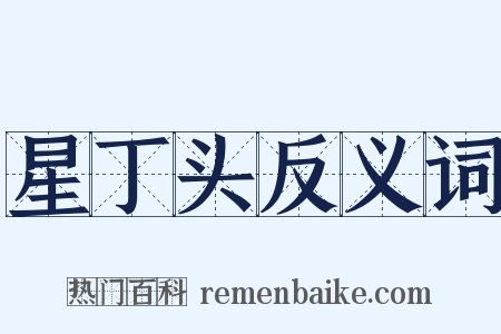 星丁头反义词是什么意思的图片